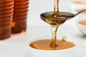 madu wild bee
