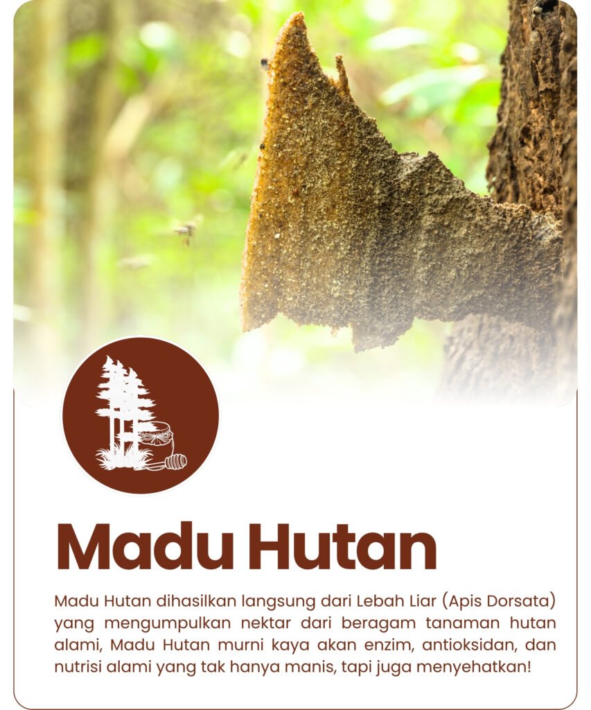 tombol-madu-hutan-bergambar