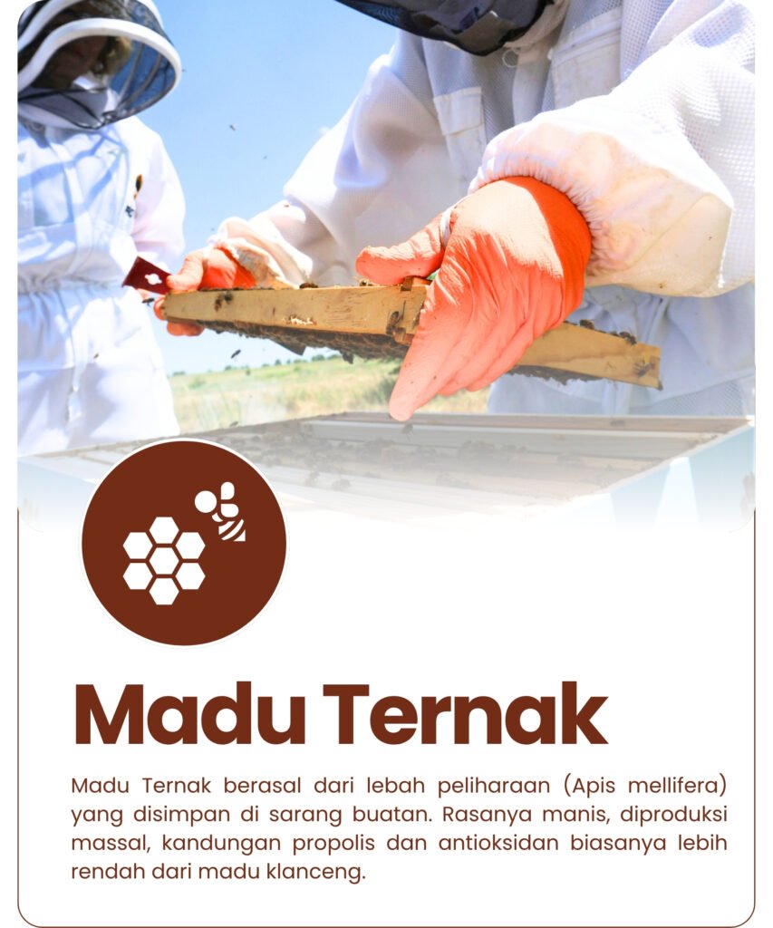 tombol-madu-ternak-bergambar